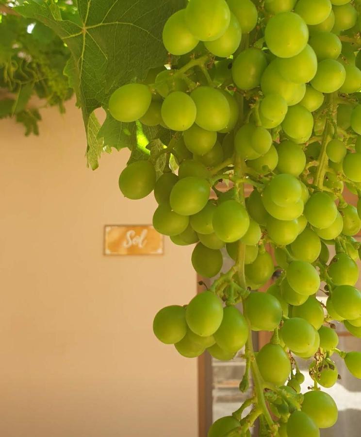 Premium Bed & Breakfast Casa Alegria Andaluza Los Romanes Kültér fotó